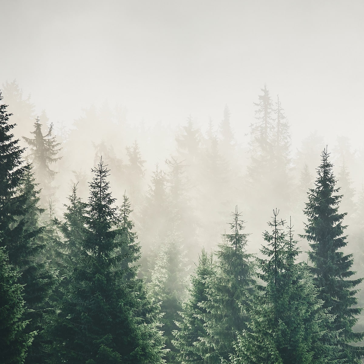 interior-graphics_0003_2